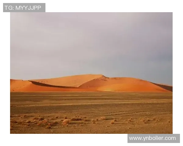 南非与纳米比亚激战正酣谁能在这场较量中脱颖而出
