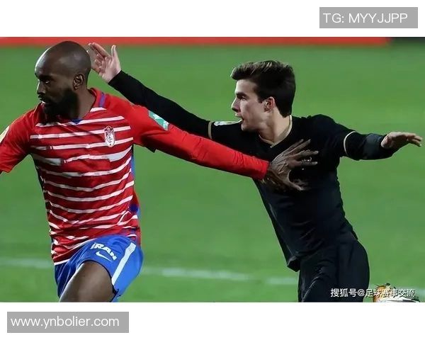 藿芬海姆迎战里昂期待精彩对决与战术较量的足球盛宴